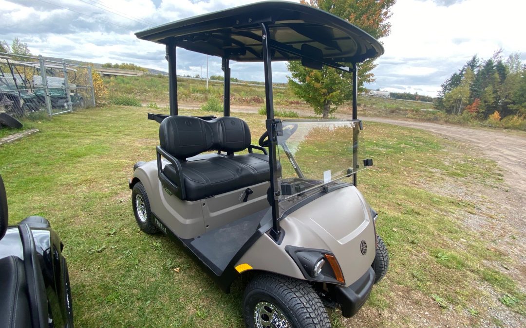 New 2024 Yamaha Drive2 PTV Titan Matte with Black Roof and Black Touring Seats