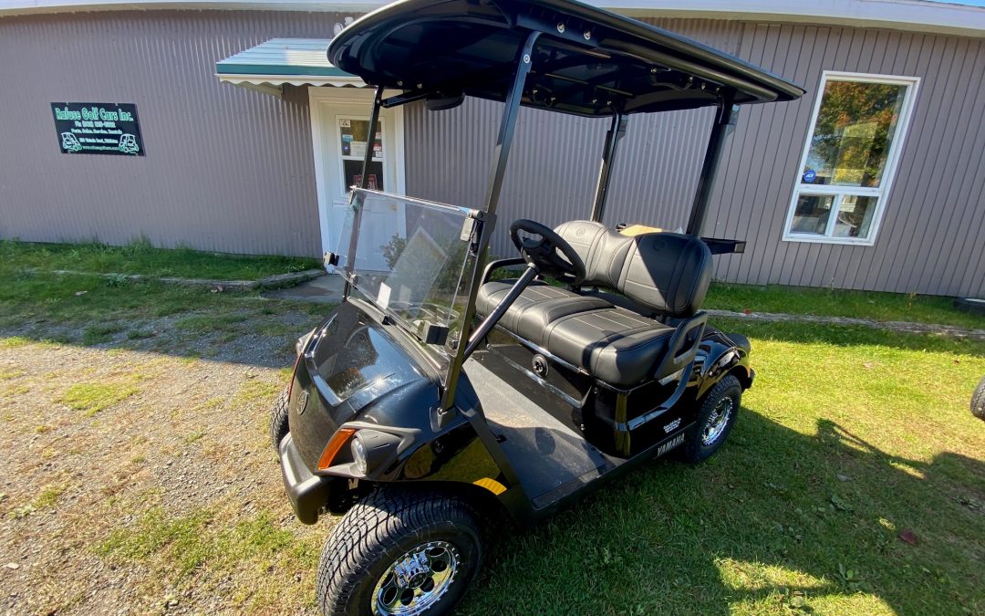 New 2024 Yamaha Drive2 PTV AC Electric with Black Roof