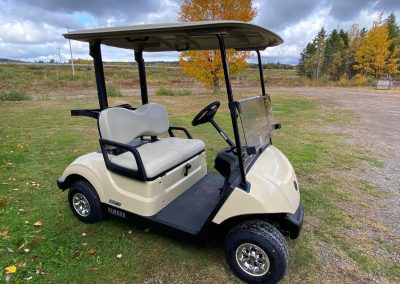 New 2025 Yamaha Drive2 Quietech Fuel Injected Golf Car in Sunstone