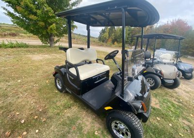 New 2025 Yamaha Drive2 PTV Quietech in Onyx Metallic with black roof