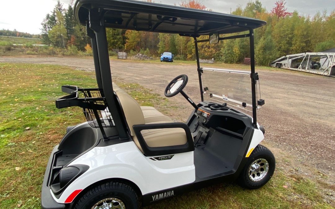 New 2025 Yamaha Drive2 PTV Quietech in Pearl Metallic with Black Roof and Beige Touring Seats